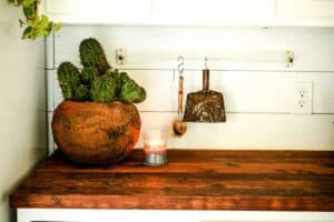 farmhouse butlers pantry butcher block countertop with potted cactus and burning candle