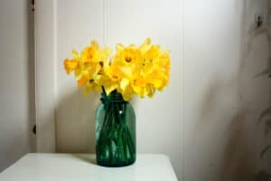 blue canning vase filled with yellow daffodils