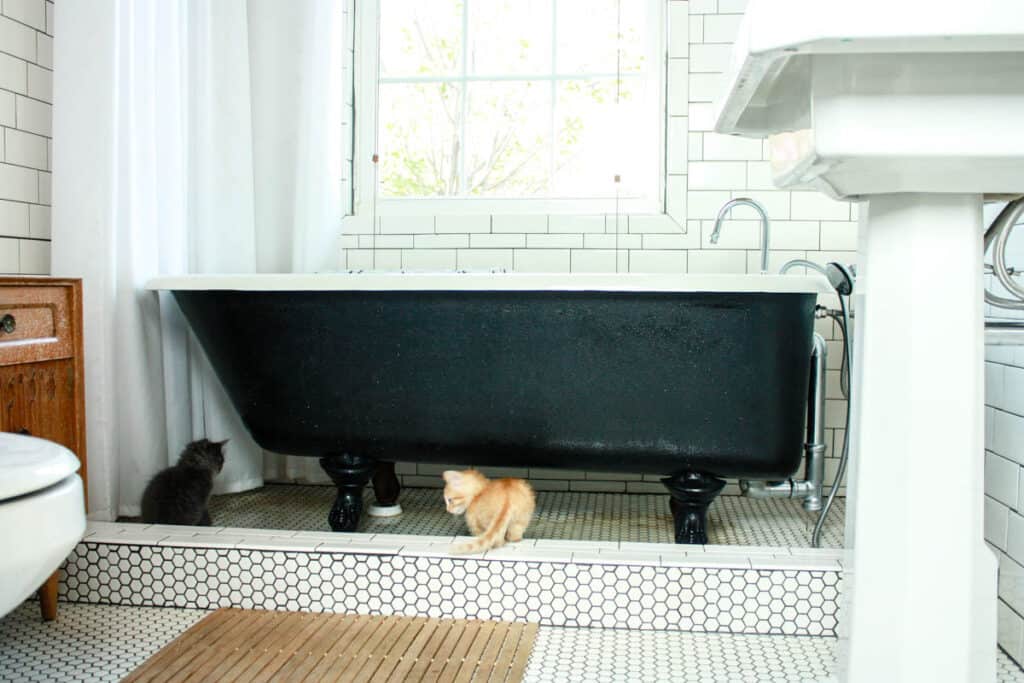 white tiled bungalow bathroom with black and white clawfoot tub white pedestal sink white shower curtain and two kittens