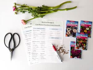 worksheets for designing a cut flower garden surrounded by cut peonies scissors a pen and seed packets
