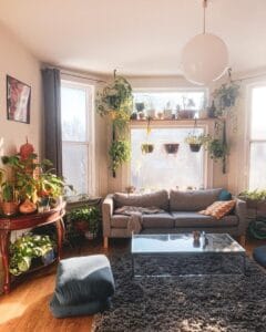 vintage boho living room with large windows grey couch and a large collection of potted plants