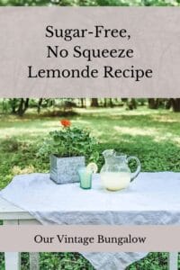 lemonade recipe with glass pitcher of homemade lemonade glass of lemonade and potted plant