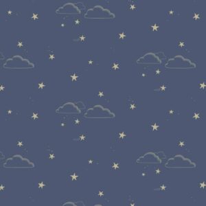 vintage navy clouds and stars wallpaper for nursery