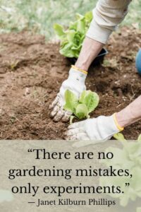 there are no gardening mistakes only experiments janet kilburn phillips