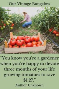 you know youre a gardener when youre happy to devote three months of your life growing tomatoes