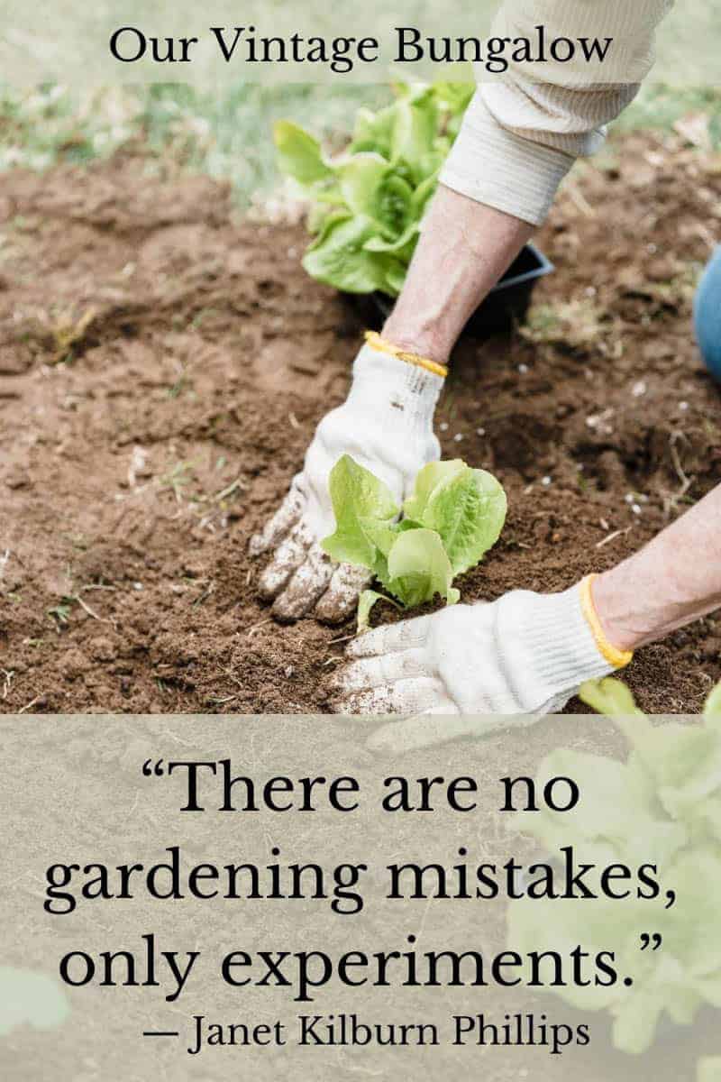 70 Funny & Inspiring Vegetable Gardening Quotes · Our Vintage Bungalow