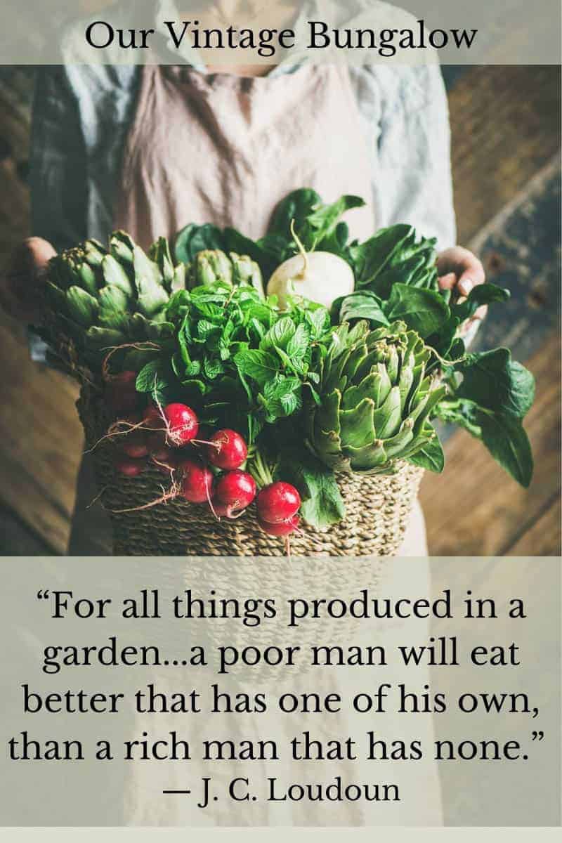 70 Funny & Inspiring Vegetable Gardening Quotes · Our Vintage Bungalow