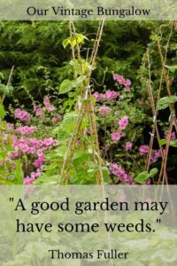 a good garden may have some weeds thomas fuller