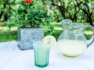 glass pitcher of lemonade with glass of lemonade sitting on table outside with potted plant