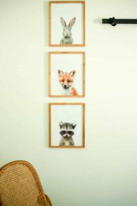 collection of three framed pictures of baby woodland animals rabbit fox and raccoon mid century