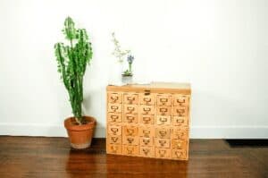 vintage light wood library card cabinet with potted plant