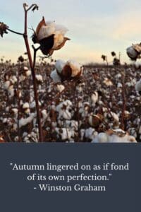 field of cotton at dusk autumn lingered on as if fond of its own perfection winston graham