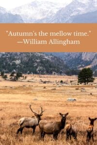 overlooking golden field with grazing elk and mountain background autumns the mellow time allingham
