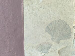 sample of antique seashell farmhouse wallpaper found during renovation