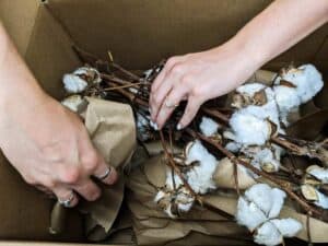 packaging real cotton stems for shipment with brown packing paper in brown shipping box