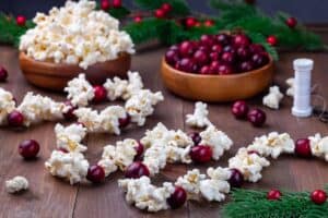handmade popcorn and cranberry christmas tree garland