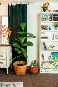 mobile home living room with tall bookshelf fiddle leaf plant farmhouse dresser and velvet curtains