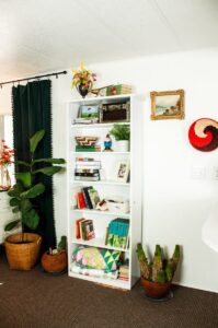 mobile home living room bookshelf with functional decor and potted fiddle leaf plant