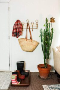 mobile home entryway with functional boot tray coat rack and potted plant