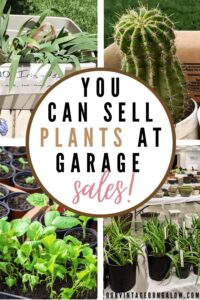 How to Sell Plants at a Garage Sale (Easy Tips) - Our Vintage Bungalow