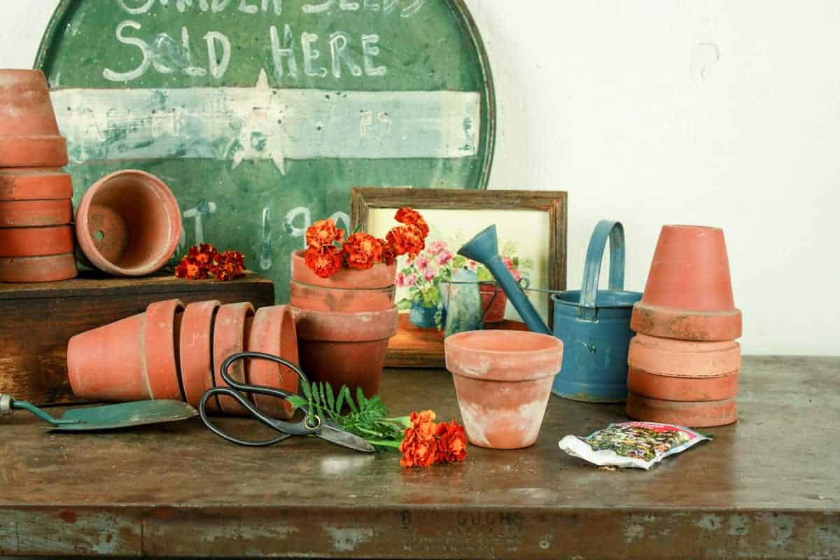 vintage terra cotta pots with marigolds and various gardening supplies